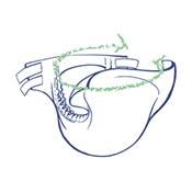 Changes Complets Incontinence MEDIUM NUIT